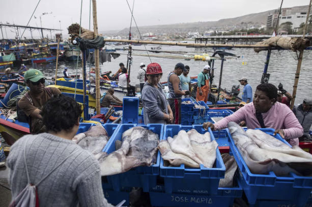 Captura de Pantalla 2025-11-06 a la(s) 16.23